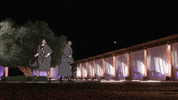 Gntmgr GIF by Star Channel TV