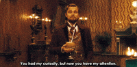 Leonardo Dicaprio Calvin Candie GIF by Giphy QA