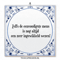 Wijsheid Reflectie GIF by Tegelspreuken.nl