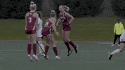 Celebration Goal GIF by Colgate Athletics