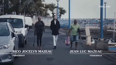 viceland GIF by Hamilton's Pharmacopeia