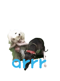 아르르 Sticker by arrr_official