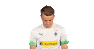 Bundesliga Beyer Sticker by Borussia Mönchengladbach