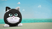 Angry Cat GIF by HangryPetz