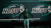 Ndsu Baseball GIF by NDSU Athletics