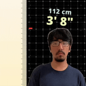 3' 8"