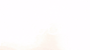 Celebration Goal GIF by FC Red Bull Salzburg