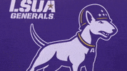 Soccer Generals GIF by LSUA Athletics