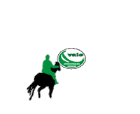 Racing Team Roping Sticker by Rações Vale