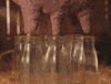 Dairy Farm Milk GIF by Rex Orange County
