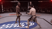 mma GIF