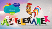 GIF by TVP.PL