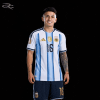 Fifa World Cup Argentina GIF by Respective