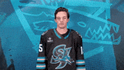San Jose Yes GIF by San Jose Barracuda