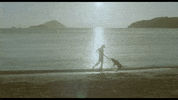 sleeping dogs GIF