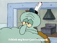 season 2 your shoe's untied GIF by SpongeBob SquarePants