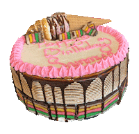 Happy Birthday Cake Sticker by bonabonaicecream