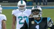 Carolina Panthers Football GIF by NFL