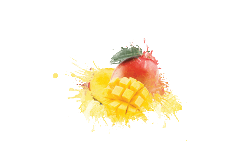 Vape Fruits Sticker by Skwezed