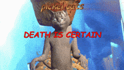 Game Over Cat GIF by Epitaph Records