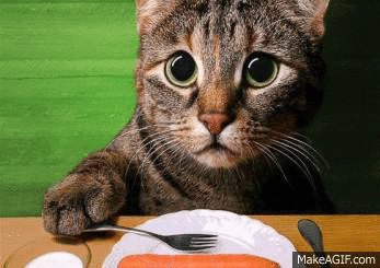 Video gif. We zoom in closer to a cat sitting at a plated table, holding a fork in its paw. The cat looks up with sad, begging eyes.