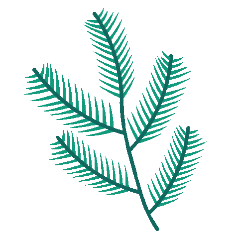 Christmas Pine Sticker by avamay
