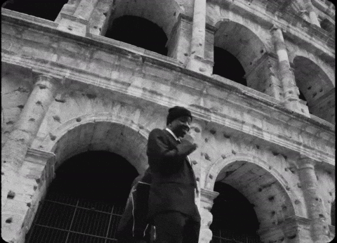 Prince George Pg GIF by IDK