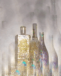 Drink Responsibly Fourth Of July GIF by Mollie_serena