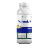 Valentia Sticker by sthefanibioagreen