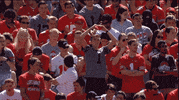 Lonely Ohio State GIF by Ohio State Athletics