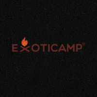 GIF by Exoticamp