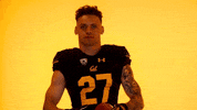 Earn It Uc Berkeley GIF by Cal Athletics