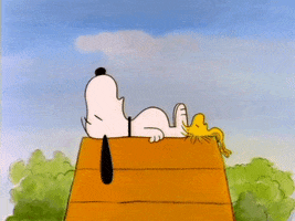 Cartoons Sleeping GIF