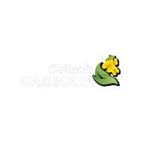 Agro Sticker by Caltechagro