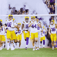 College Football GIF by LSU Tigers