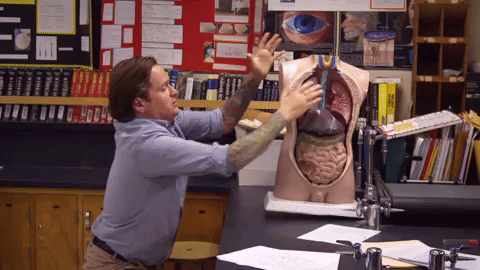 twc305 GIF by truTV’s Those Who Can’t