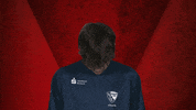 Vbl GIF by Bundesliga