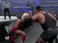 ric flair wrestling GIF by WWE