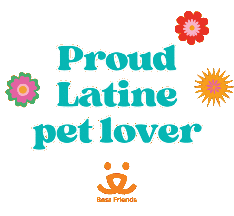 Mi Casa Pets Sticker by Best Friends Animal Society