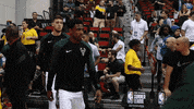 bucks sports basketball nba lets go GIF
