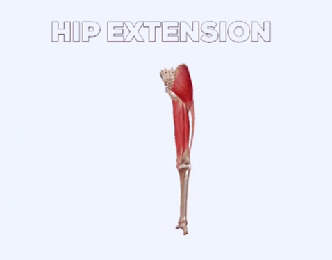 get in shape GIF