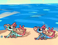 dishbug water sea idle beastie GIF