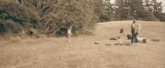 lane 1974 GIF by The Orchard Films