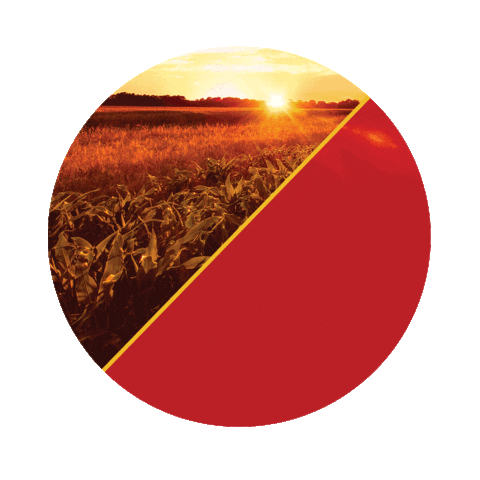 Sementes Dekalb Sticker by Agro Bayer