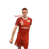 swisshandball_official happy fun party celebration Sticker