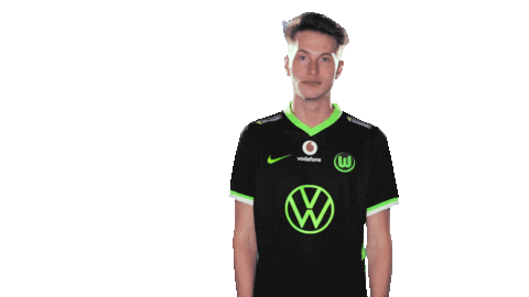 E Sports Sport Sticker by VfL Wolfsburg