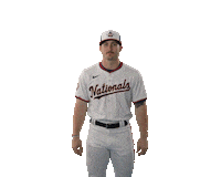 Nationals Baseball Sticker by Washington Nationals