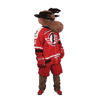 hockey avto Sticker by HC Avtomobilist