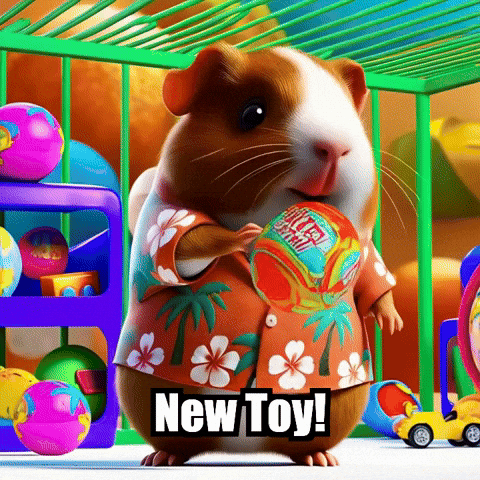 Guinea Pig Toys GIF by Guinea Gambino