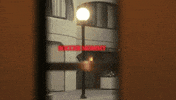 your dog GIF by Soccer Mommy